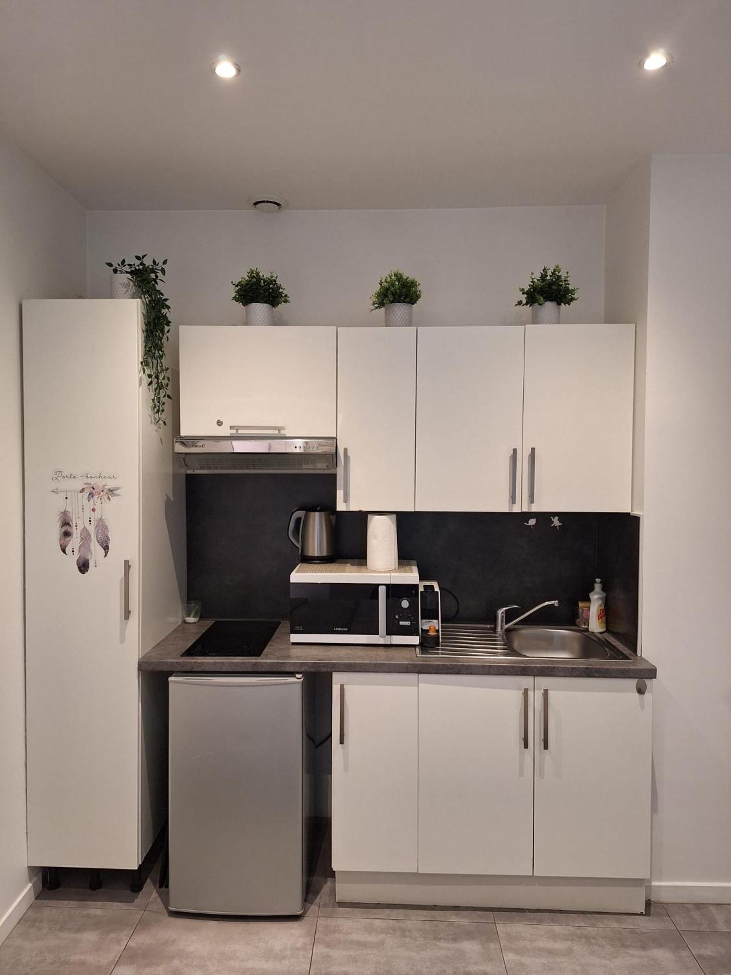 Beautiful Apartment With Terrace Centre Nice Exteriör bild